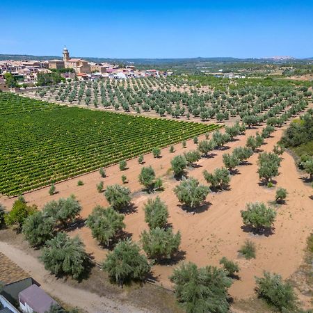 Hotel & Resort Vilar Rural D'Arnes By Serhs Hotels Сан-Карлос-де-ла-Рапита Экстерьер фото
